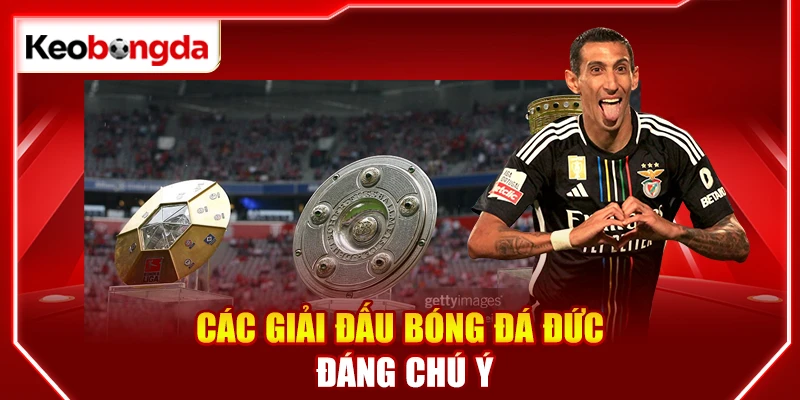Các giải đấu bóng đá Đức đáng chú ý